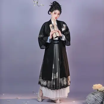 2023 китайская новая вышивка, элемент династии Сун, женская модная элегантная плиссированная юбка hanfu, повседневное платье hanfu, танцевальный костюм g651
